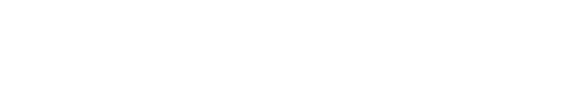 B. Braun logo